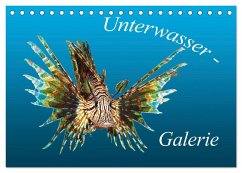 Unterwasser-Galerie (Tischkalender 2024 DIN A5 quer), CALVENDO Monatskalender