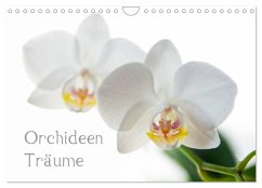 Orchideen Träume (Wandkalender 2024 DIN A4 quer), CALVENDO Monatskalender - cmarits, hannes