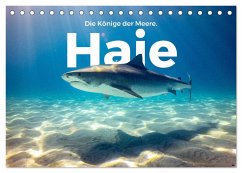 Haie - Könige der Meere. (Tischkalender 2024 DIN A5 quer), CALVENDO Monatskalender