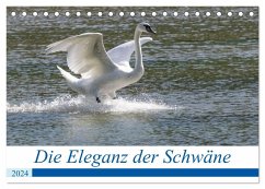Die Eleganz der Schwäne (Tischkalender 2024 DIN A5 quer), CALVENDO Monatskalender - Müller Fotografie, Andreas