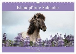 Islandpferde Kalender (Wandkalender 2024 DIN A3 quer), CALVENDO Monatskalender - Voth, Alexandra