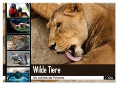 Wilde Tiere - Die schönsten Portraits (Wandkalender 2024 DIN A2 quer), CALVENDO Monatskalender