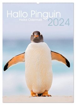 Hallo Pinguin (Wandkalender 2024 DIN A2 hoch), CALVENDO Monatskalender