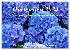Hortensien 2024. Farbenprächtige Impressionen aus dem Garten (Wandkalender 2024 DIN A2 quer), CALVENDO Monatskalender