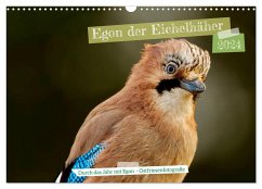 Egon der Eichelhäher - Durch das Jahr mit Egon - von Ostfriesenfotografie (Wandkalender 2024 DIN A3 quer), CALVENDO Monatskalender