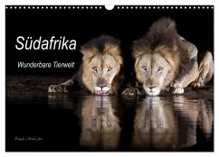 Südafrika wunderbare Tierwelt (Wandkalender 2024 DIN A3 quer), CALVENDO Monatskalender