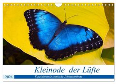 Kleinode der Lüfte - Faszinierende tropische Schmetterlinge (Wandkalender 2024 DIN A4 quer), CALVENDO Monatskalender