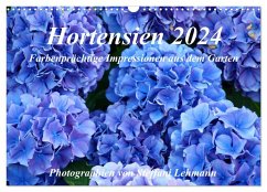 Hortensien 2024. Farbenprächtige Impressionen aus dem Garten (Wandkalender 2024 DIN A3 quer), CALVENDO Monatskalender