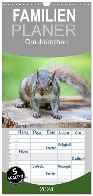 Familienplaner 2024 - Grauhörnchen-Die nordamerikanischen Eichhörnchen mit 5 Spalten (Wandkalender, 21 x 45 cm) CALVENDO