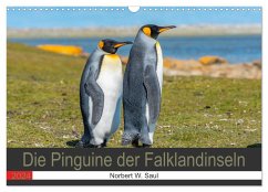 Die Pinguine der Falklandinseln (Wandkalender 2024 DIN A3 quer), CALVENDO Monatskalender - W. Saul, Norbert