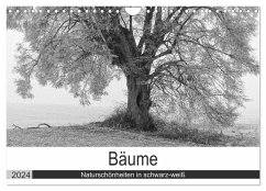 Bäume - Naturschönheiten in schwarz-weiß (Wandkalender 2024 DIN A4 quer), CALVENDO Monatskalender