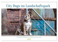 City Dogs im Landschaftspark (Wandkalender 2024 DIN A3 quer), CALVENDO Monatskalender