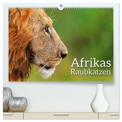 Afrikas Raubkatzen in eindrucksvollen Portraits (hochwertiger Premium Wandkalender 2024 DIN A2 quer), Kunstdruck in Hochglanz