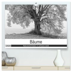 Bäume - Naturschönheiten in schwarz-weiß (hochwertiger Premium Wandkalender 2024 DIN A2 quer), Kunstdruck in Hochglanz - Beuck, Angelika