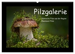 Pilzgalerie - Heimische Pilze aus der Region Rheinland-Pfalz (Wandkalender 2024 DIN A2 quer), CALVENDO Monatskalender