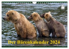 Der Bärenkalender 2024 (Wandkalender 2024 DIN A4 quer), CALVENDO Monatskalender - Steinwald, Max
