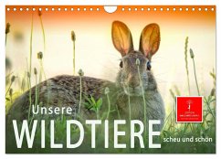 Unsere Wildtiere - scheu und schön (Wandkalender 2024 DIN A4 quer), CALVENDO Monatskalender