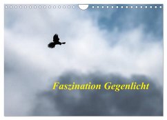 Faszination Gegenlicht (Wandkalender 2024 DIN A4 quer), CALVENDO Monatskalender