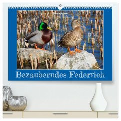 Bezauberndes Federvieh (hochwertiger Premium Wandkalender 2024 DIN A2 quer), Kunstdruck in Hochglanz