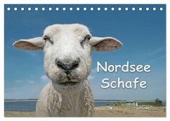 Nordsee Schafe (Tischkalender 2024 DIN A5 quer), CALVENDO Monatskalender