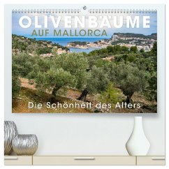 Olivenbäume auf Mallorca - Die Schönheit des Alters (hochwertiger Premium Wandkalender 2024 DIN A2 quer), Kunstdruck in Hochglanz