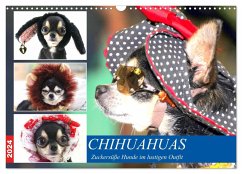 Chihuahuas. Zuckersüße Hunde im lustigen Outfit (Wandkalender 2024 DIN A3 quer), CALVENDO Monatskalender