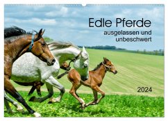 Edle Pferde - ausgelassen und unbeschwert (Wandkalender 2024 DIN A2 quer), CALVENDO Monatskalender