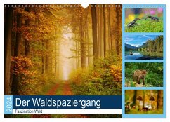 Der Waldspaziergang (Wandkalender 2024 DIN A3 quer), CALVENDO Monatskalender - Klapp, Lutz