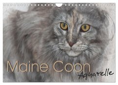 Maine Coon Aquarelle (Wandkalender 2024 DIN A4 quer), CALVENDO Monatskalender - Hahn, Jasmin