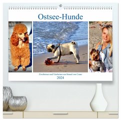 Ostsee-Hunde - Zweibeiner und Vierbeiner am Strand von Cranz (hochwertiger Premium Wandkalender 2024 DIN A2 quer), Kunstdruck in Hochglanz