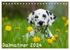 Dalmatiner 2024 (Tischkalender 2024 DIN A5 quer), CALVENDO Monatskalender