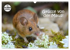 Grüsse von der Maus! (Wandkalender 2024 DIN A3 quer), CALVENDO Monatskalender - Gugigei