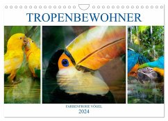 Tropenbewohner - farbenfrohe Vögel (Wandkalender 2024 DIN A4 quer), CALVENDO Monatskalender