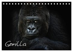 Gorilla (Tischkalender 2024 DIN A5 quer), CALVENDO Monatskalender