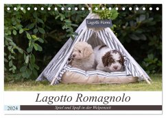 Lagotto Romagnolo - Spiel und Spaß in der Welpenzeit (Tischkalender 2024 DIN A5 quer), CALVENDO Monatskalender