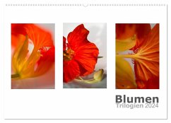 Blumen Trilogien (Wandkalender 2024 DIN A2 quer), CALVENDO Monatskalender