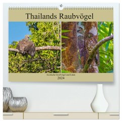 THAILANDS RAUBVÖGEL Exotische Greifvögel und Eulen (hochwertiger Premium Wandkalender 2024 DIN A2 quer), Kunstdruck in Hochglanz