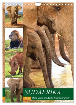 SÜDAFRIKA Wild-Tiere im Addo Elephant Park (Wandkalender 2024 DIN A4 hoch), CALVENDO Monatskalender