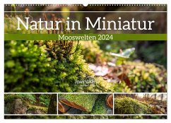 Natur in Miniatur - Mooswelten (Wandkalender 2024 DIN A2 quer), CALVENDO Monatskalender - Walther, Kevin