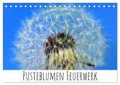 Pusteblumen Feuerwerk (Tischkalender 2024 DIN A5 quer), CALVENDO Monatskalender - Drafz, Silvia