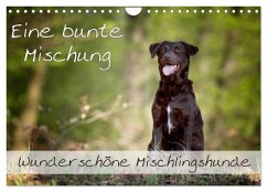 Eine bunte Mischung - wunderschöne Mischlingshunde / Geburtstagskalender (Wandkalender 2024 DIN A4 quer), CALVENDO Monatskalender