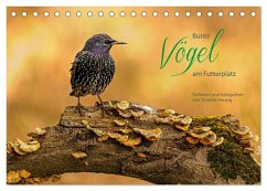 Bunte Vögel am Futterplatz (Tischkalender 2024 DIN A5 quer), CALVENDO Monatskalender
