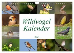 Wildvogelkalender (Wandkalender 2024 DIN A4 quer), CALVENDO Monatskalender