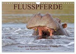 Flusspferde Magie des Augenblicks - Hippos in Afrika (Wandkalender 2024 DIN A4 quer), CALVENDO Monatskalender - Wisniewski, Winfried