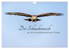 Der Schneckenweih (Wandkalender 2024 DIN A4 quer), CALVENDO Monatskalender - Rosenthal, Peter