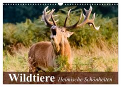Wildtiere. Heimische Schönheiten (Wandkalender 2024 DIN A3 quer), CALVENDO Monatskalender