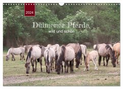Dülmener Pferde, wild und schön (Wandkalender 2024 DIN A3 quer), CALVENDO Monatskalender