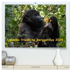 Ugandas friedliche Berggorillas (hochwertiger Premium Wandkalender 2024 DIN A2 quer), Kunstdruck in Hochglanz