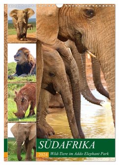 SÜDAFRIKA Wild-Tiere im Addo Elephant Park (Wandkalender 2024 DIN A3 hoch), CALVENDO Monatskalender - Fraatz, Barbara