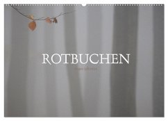 Rotbuchen (Wandkalender 2024 DIN A2 quer), CALVENDO Monatskalender